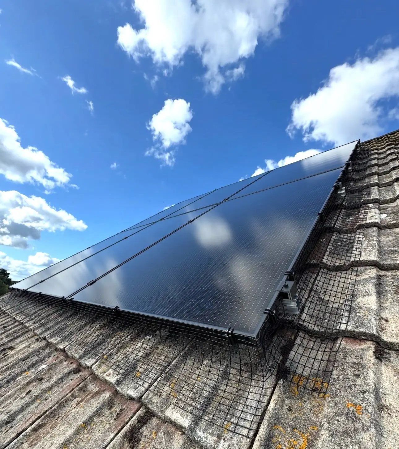 ikonic solar wimbourne - Ikonic Solar